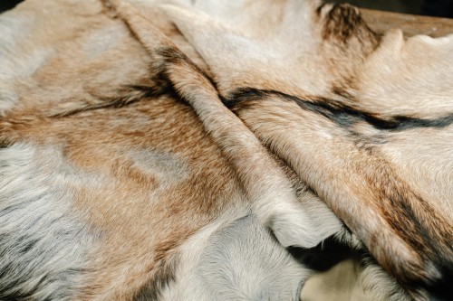 FUR TANNED LEATHER